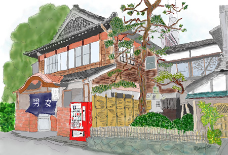 桜湯