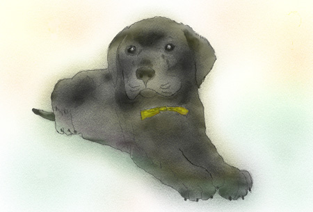 子犬のラック