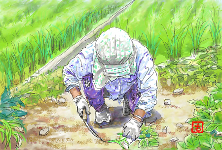 草を刈る婦人