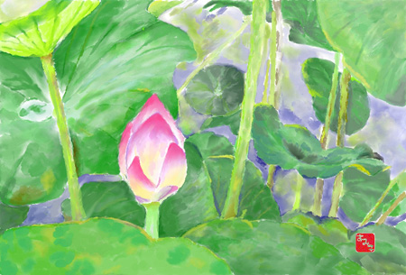 ハスの花